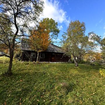 Стара деревʼяна хата 1910 року на розбір, відновлення для музею