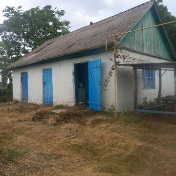 Здам будинок в оренду с. Степанівка, Драбівський р- н, Черкаська обл