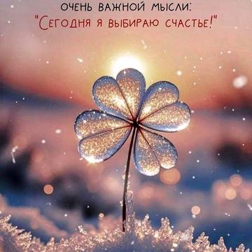 Сдаю дом в центре
