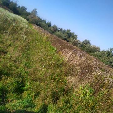 Суховоля, Львівський, Львівська область 12000.0 USD