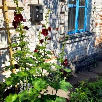 Продається приватний будинок