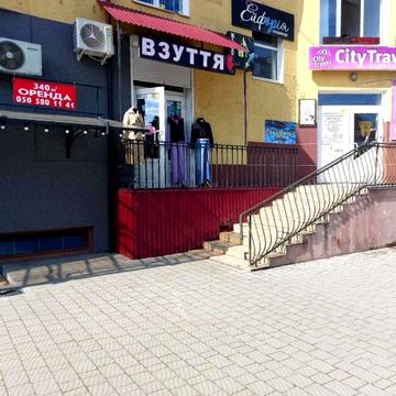 Олени Пчілки вул., 68А