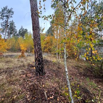 11-та Лінія вул.