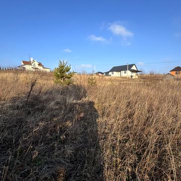 Сол. Крушельницької