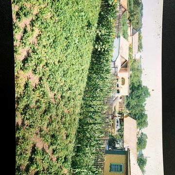 Продам будинок в с. Лукімʼя Полтавська обл.