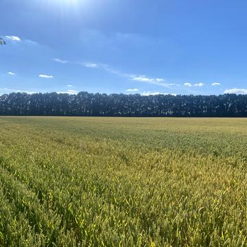 Якушинці, Вінницький, Вінницька область 120000.0 USD