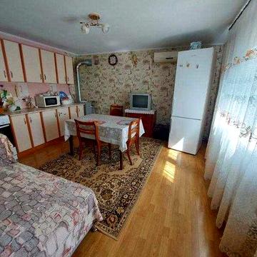 Продам гарний великий будинок з ремонтом в с. Великий Буялик