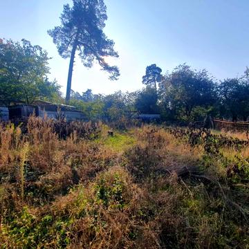 Академіка Ромоданова вул. (Льва Толстого)