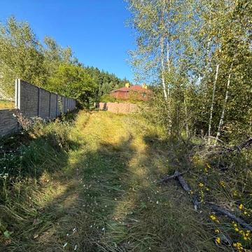 Лесі Українки