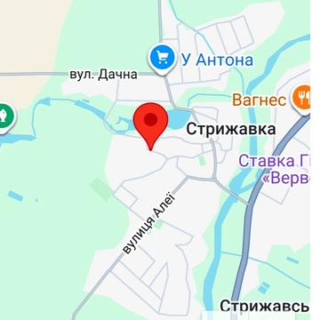 Олександра Дземуха, 41