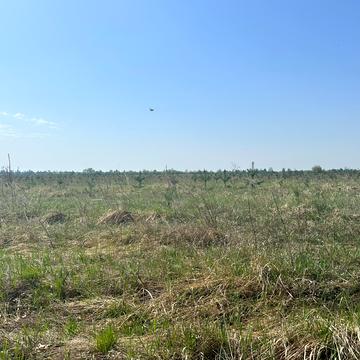 Михайлівка-Рубежівка, Бучанський, Київська область 16000.0 USD