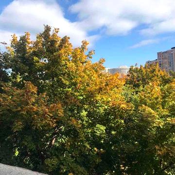 1-кімнатна квартира в престижному ЖК.  Аркадія. Море. Найнижча ціна.