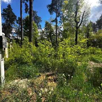 Ворзель, Бучанський, Київська область 40.0 USD