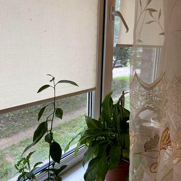 1 кімнатна квартира , Вигідна пропозиці