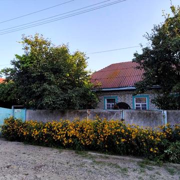 Продам будинок в с Хутори Черкаської області