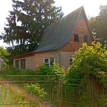 Продам дом дачі  в селі Нова гребля