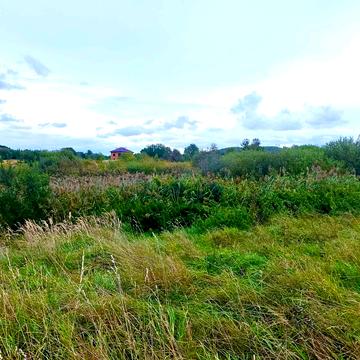 Запитів, Львівський, Львівська область 8000.0 USD