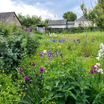 Будинок 3к, ділянка 25 соток. Гарний стан. с. Гоголів, Броварський р-н