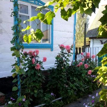 Будинок в Малинському районі с.Жабоч