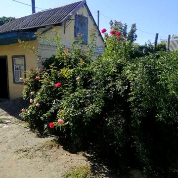 Велика Діївська вул. (Братів Трофімових), 549