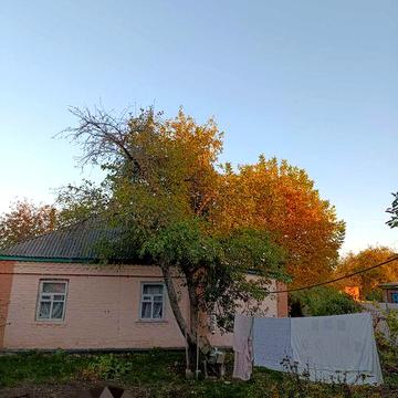 Здам будинок в оренду