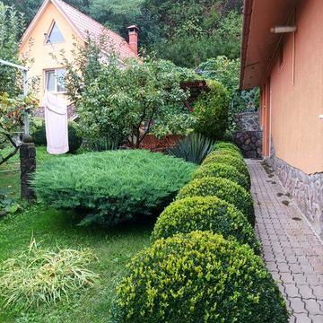 Здається будинок можливо на  дві родини.