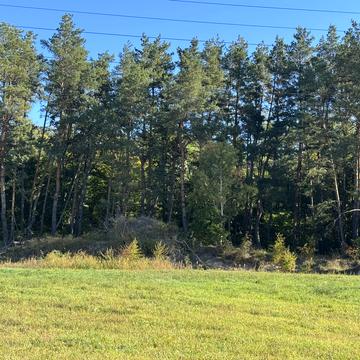 Ходосівка, Обухівський, Київська область 60000.0 USD