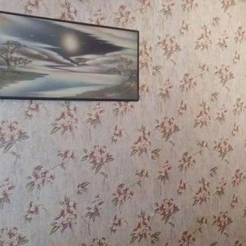 Сдается квартира по ул.Киевской(район Макдональдс)от месяца и дольше