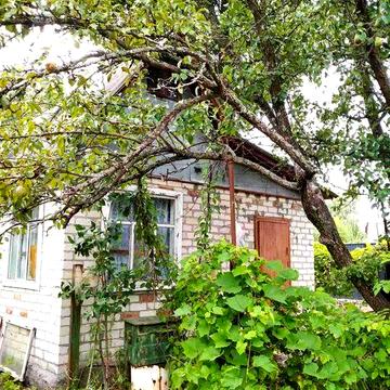 Дача Кирп.Дом 7.1сот.(Прив)Свет,Вода.Рядом.Десна. Шир.Заезд. Жавинка.