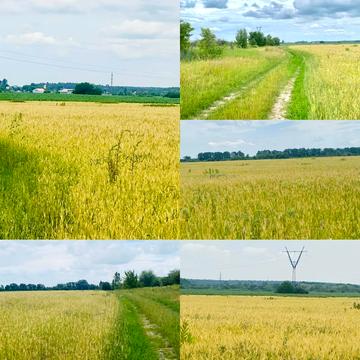 Бузова, Бучанський, Київська область 23000.0 USD