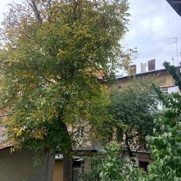 Термін.1 кім оренда Форум Джерельна