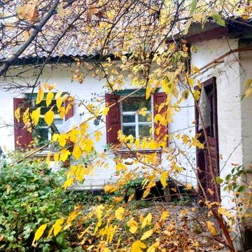 Продається будинок у селі Боровиця