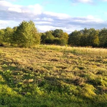 Задебрі, Яворівський, Львівська область 21500.0 USD