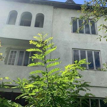 Продається будинок з присадибною ділянкою 12 соток і садом