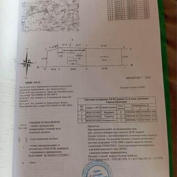 Будинок з великою ділянкою землі