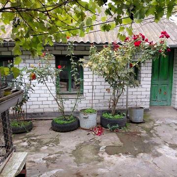 Продаётся два домика на одном участке (Ялты)