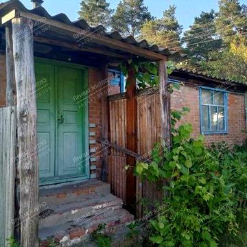 Будинок у Головачі біля соснового лісу