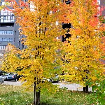 2-кім. квартири в сучасному ЖК Paradise Avenue — комфорт+ у деталях ЖК Paradise Avenue