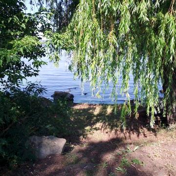 Будинок з власним берегом