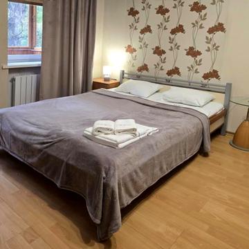 Уютная квартира возле Владимирской горки