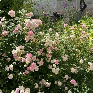 Продам просторный дом с Панорамным видом Диевка 1