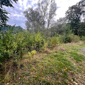 Камяниця, Ужгородський, Закарпатська область 55000.0 USD