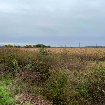 Тийглаш, Ужгородський, Закарпатська область 12000.0 USD