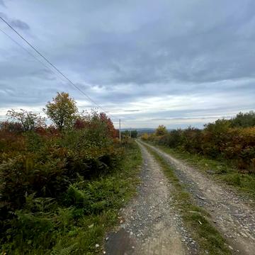 Гута, Ужгородський, Закарпатська область 16000.0 USD