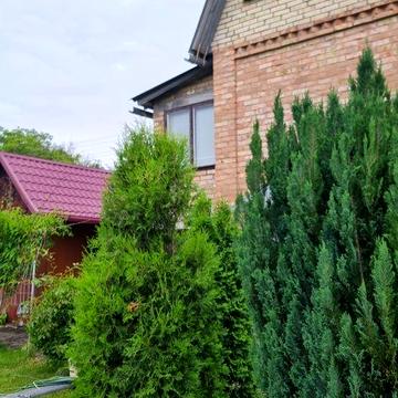 Дом. Дача. Бориспільський район. Садове товариство Сулимівка