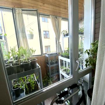 Костя Левицького вул. (), 99