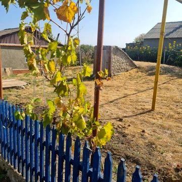 Продам будинок з газом