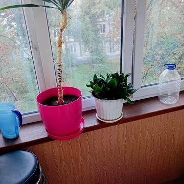 Верховної Ради бульв., 29-А