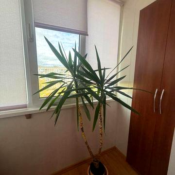 Сдам 3-комн.кв на Победе с мебелью и техникой