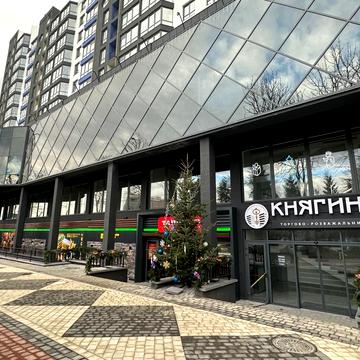 Княгинин вул., 39